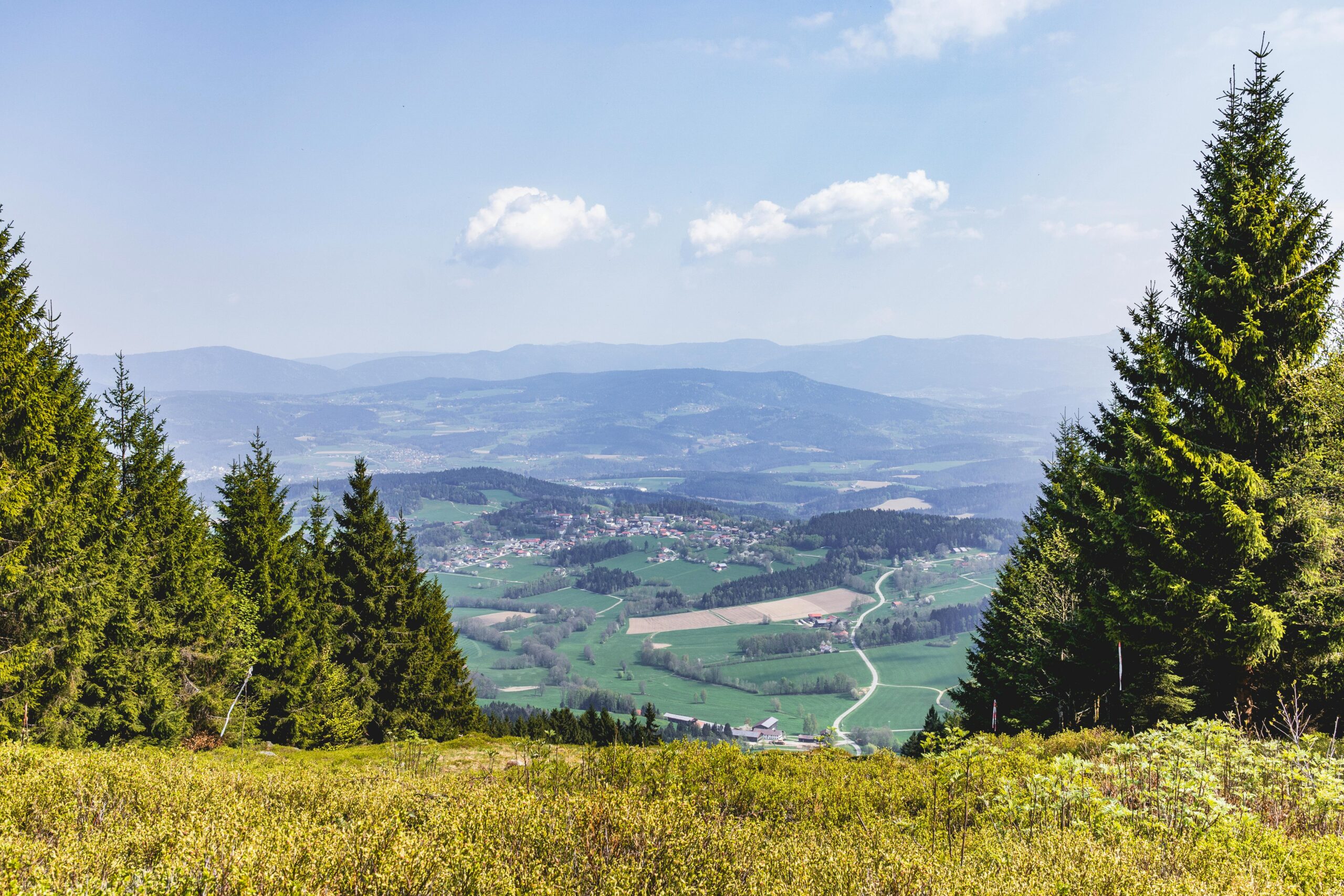 Vosges