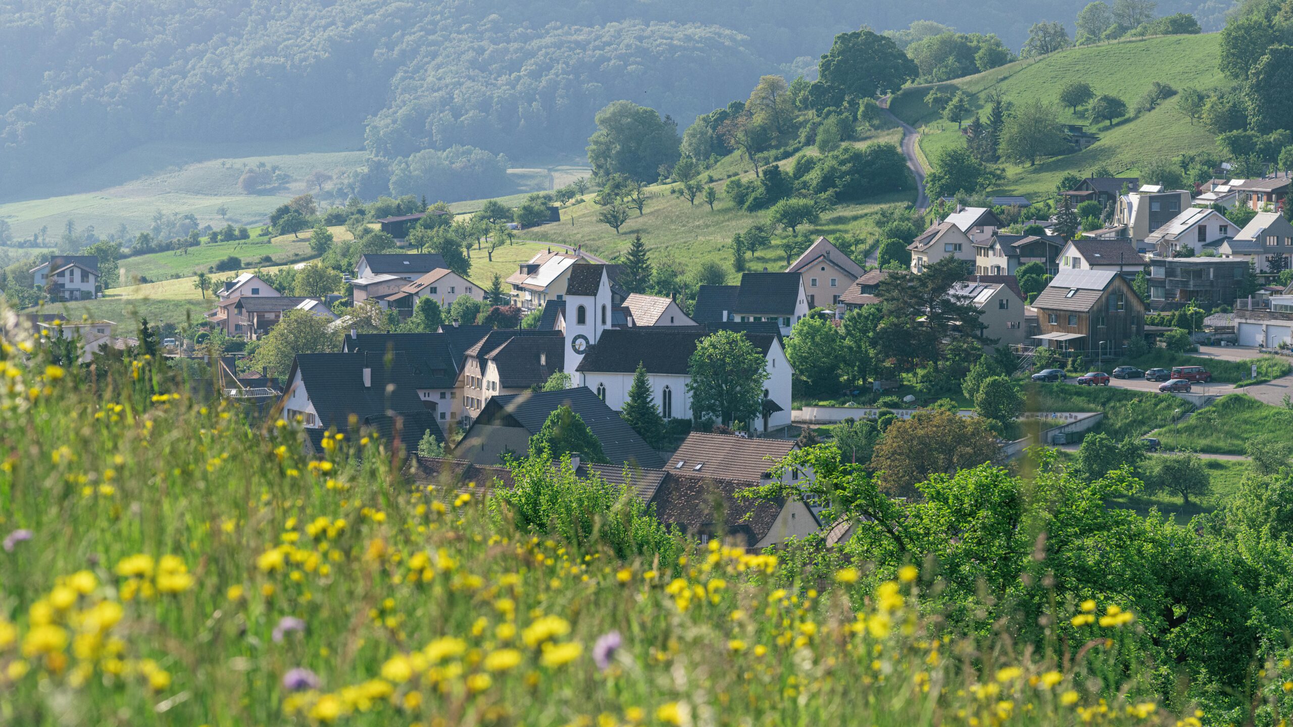 Moselle<br />Meurthe-et-Moselle